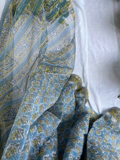 Chrysanthemum garden