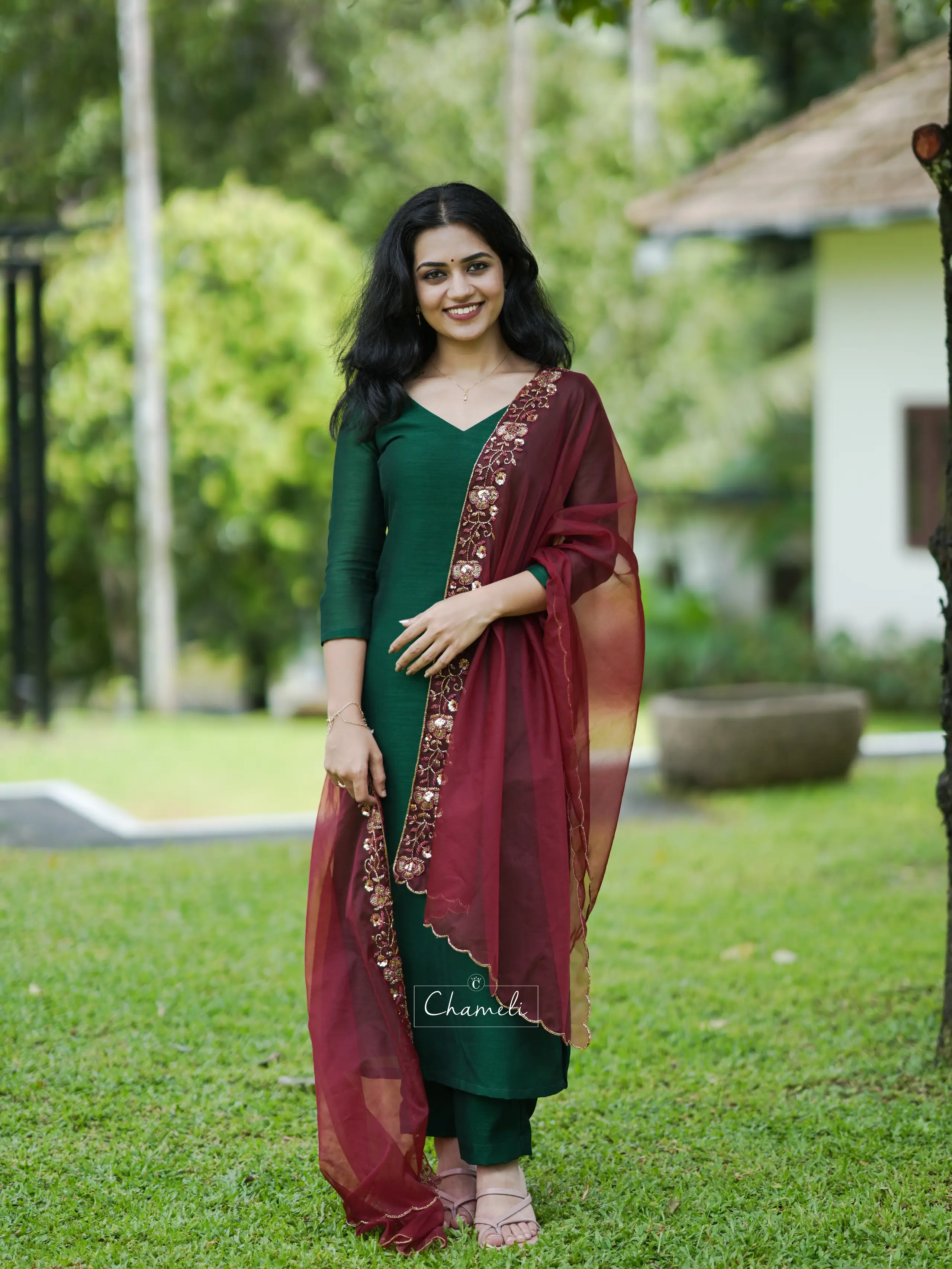 Premium Organza Dupatta Set