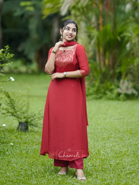 Satin Organza Salwar Set