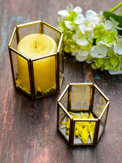 The Celebration Collection